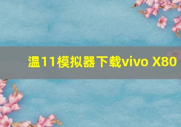 温11模拟器下载vivo X80